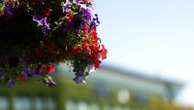 At Wimbledon, a master groundskeeper perfects tennis in 'an English garden'