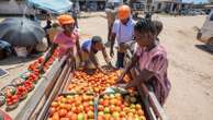 Electric tricycles are a ticket to respect and prosperity for some rural women in Zimbabwe