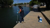 Want to take a dip in Paris? River Seine reopens to public swimming for first time in a century