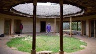 A mushroom farm in Kenya and fungi-based panels give hope for sustainable building