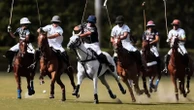 NetflixPrince Harry and Meghan explore world of polo in new docuseries: Watch trailer"Polo" will arrive on Netflix on Dec. 10.11/21/2024 05:11:13 EST