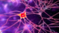 Breakthrough gene therapy shows 75% reduction in Huntington's disease progression