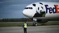 National Zoo shares new video of giant pandas from ChinaThe two pandas arrived in Washington, D.C., on Oct. 15.10/25/2024 12:42:00 EDT