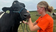 Bird flu restrictions cause heartache for 4-H kids unable to show off livestock at fairs across US