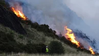 Firefighters battle large gorse fire at Scottish tourist attraction