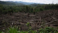 Amazon's 'flying rivers' weaken, scientists warn of worsening droughts