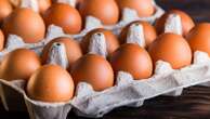 What to know about egg prices as bird flu continues to impact laying flocksShoppers have flocked to social media showing stores in short supply.1/8/2025 07:29:00 EST