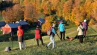 How small Northeast towns are combatting fall foliage frenzy Neighbors of Sleepy Hollow Farm in Vermont have closed some roads.10/3/2024 10:53:00 EDT