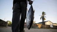 Long-wrought WTO global agreement aimed at reducing overfishing takes effect