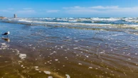 19-year-old speaks out after surviving shark attack in Texas"When I finally saw my hand, that's when I started freaking out."6/8/2024 03:21:04 EDT