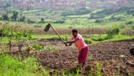 Rwanda tries to protect farmland in Africa's most densely populated nation