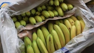 Will lower tariffs bring down prices of coffee, bananas? Experts weigh in