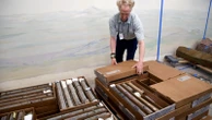 Dino museum makes find deep under own parking lot