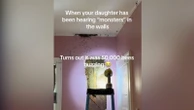'Monsters' in toddler's bedroom turn out to be massive beehiveAshley Class' daughter had complained about "monsters" in her bedroom.4/29/2024 11:53:20 EDT