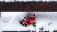 Early snowfall damages power lines and snarls traffic in Bosnia and Serbia