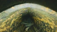 Drone video from inside a Fukushima reactor shows a hole in pressure vessel, likely fuel debris