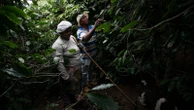 Small Brazilian coffee producers fear for the future after Trump’s 50% tariff
