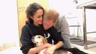 Meghan Markle mourns death of beloved rescue dog, Guy: See her moving video tributeMeghan Markle is grieving the death of her dog, Guy, who she rescued in 2015.1/7/2025 07:57:00 EST