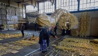Dutch beach beasts find a final resting place in a new exhibition