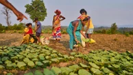 In India, Indigenous women and their 'dream maps' seek to protect lands from climate change