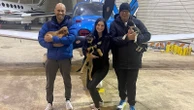 Buffalo doctor flies his plane to rescue dogs