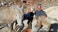 A man in South Lebanon cares for pets left behind as residents flee Israeli bombs