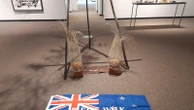Protests over ‘please walk on me’ flag artwork prompt its removal from New Zealand gallery — again
