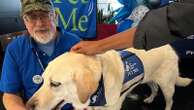 Philadelphia airport celebrates its brigade of stress-busting therapy dogs