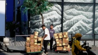 China's economy slows to 4.8% annual growth in July-September, hit by tariffs and slack demandChina has reported that its economy expanded at the slowest annual pace in a year in July- September, growing 4.8%, weighed down by trade tensions with the United States and slack domestic demand2 hours ago