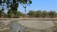 Malawi follows Zambia in declaring drought disaster as El Niño brings hunger to southern Africa