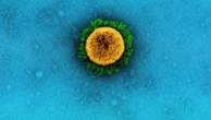 Why are more than 300 people in the US still dying from COVID every week?
