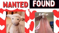 Nonprofit reunites Camp Mystic campers with 'lost' stuffed toysThe Lost Stuffy Project is helping kids impacted by the floods in Texas.42 minutes ago