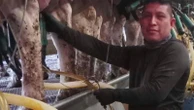 A Vermont dairy farm was raided. The mixed messages from Washington since then have increased fears