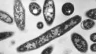 Death toll from Legionnaires' disease outbreak in New York City rises to 7 and infections hit 114
