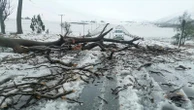 At least 7 killed, schoolchildren swept away as floods and snow hit South Africa