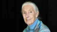 Famed primatologist Jane Goodall dead at 91