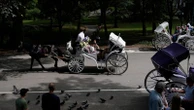 As bikes and strollers fill Central Park, its managers want to push horse carriages out