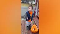 Boy adorably reacts to broken pumpkin after moose visit