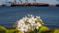 Shipping companies support 1st global fee on greenhouse gases, opposed by Trump admin