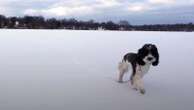 Puppy rescued from frozen lake with the help of a droneA puppy who spent Christmas Eve on a frozen lake is home safe.December 27, 2024