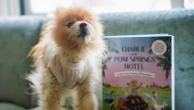 18-year-old rescue dog teaches kids about adoption