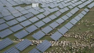 China rushes to build out solar, emissions edge downwardChinese officials have showcased what they claim will be the world's largest solar farm on the Tibetan plateau22 minutes ago