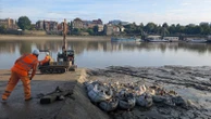 London’s ‘wet wipe island’ gets bulldozed in historic Thames clean-up operation