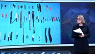 Australian state plans to ban the sale of machetes following violent gang fight