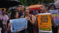 India’s Supreme Court orders stray dogs released to New Delhi streets in modified ruling