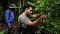 What would happen if the Amazon rainforest dried out? This decades-long experiment has some answers