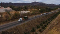 Tigers, jaguars and elephants are the latest to flee cartel violence in Mexico's Sinaloa