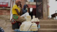 Nigeria bans exports of raw shea nuts used for cosmetic products to help grow local economy