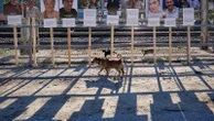 A year later, small Bosnian village remembers 19 victims of floods and landslide