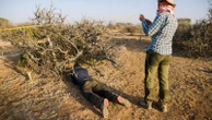 The myrrh tree, key to luxury perfumes and African incomes, is threatened by drought